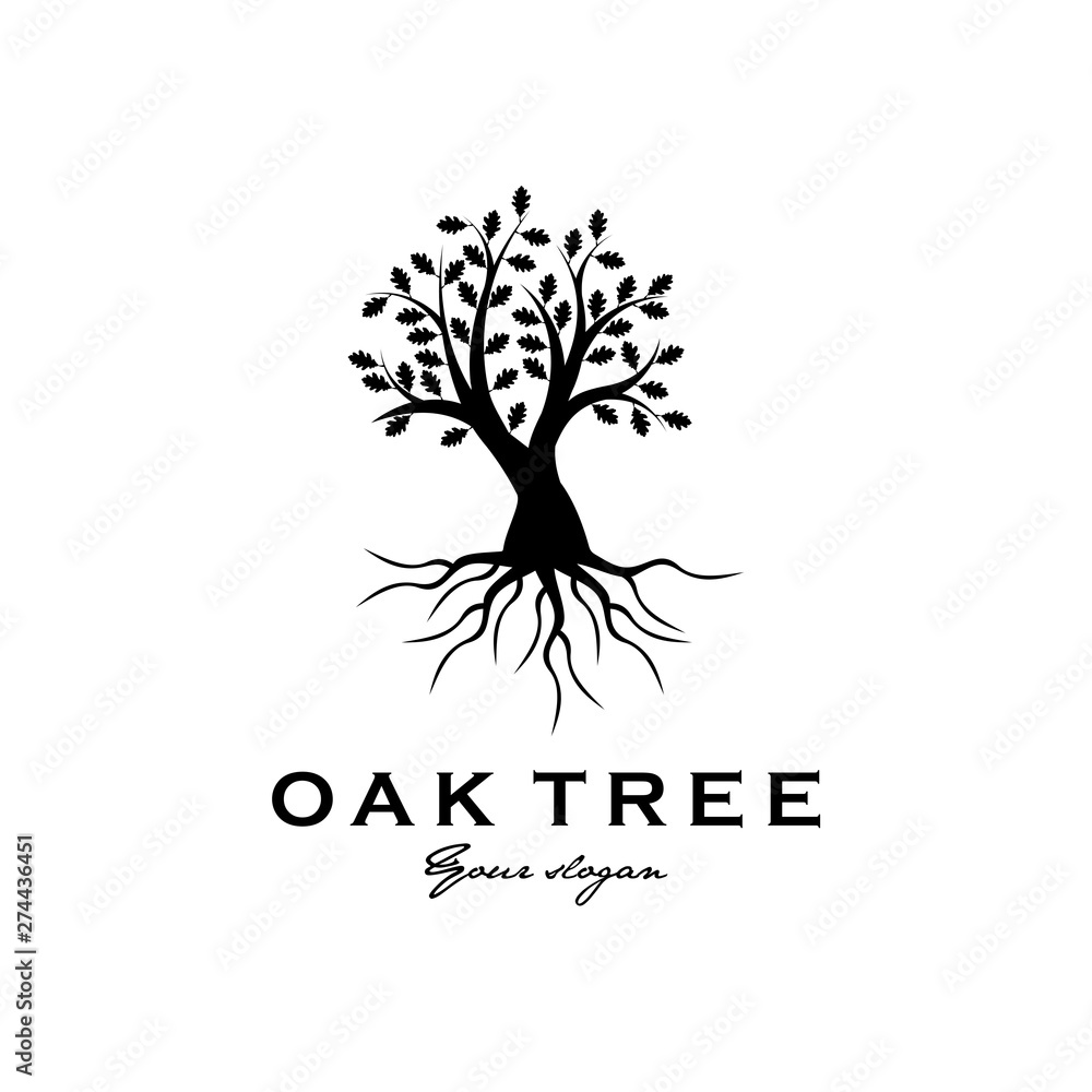 oak tree logo design
