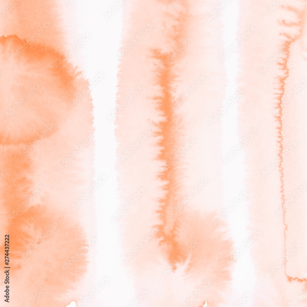 Fototapeta premium Soft orange watercolor paint on white background