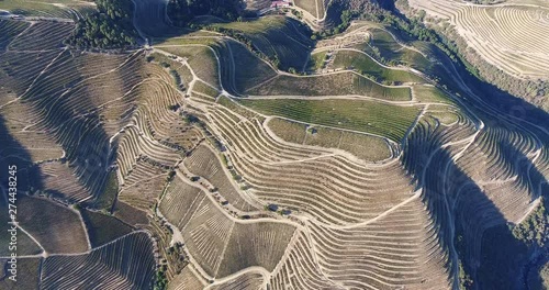 Beautiful Douro Valley aerial shot photo