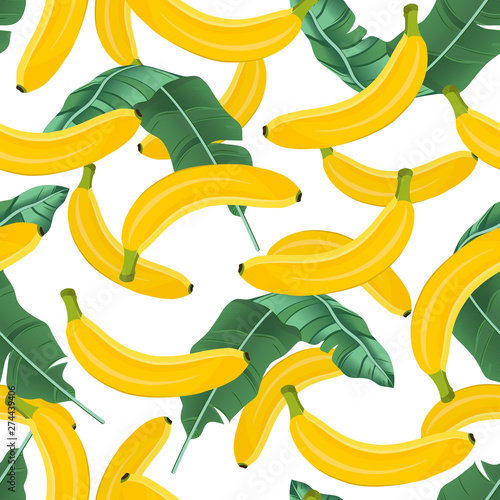 Banana seamless pattern with banana leaves on white background. Tropical fruit vector illustration.