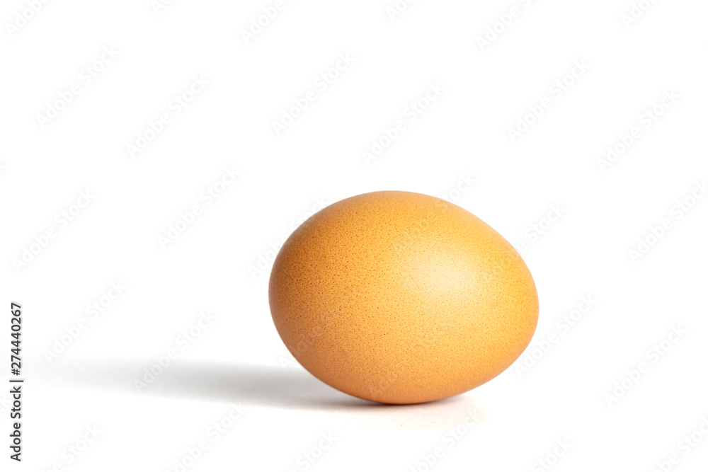 close-up one egg isolated white background close-up one egg isolated white background