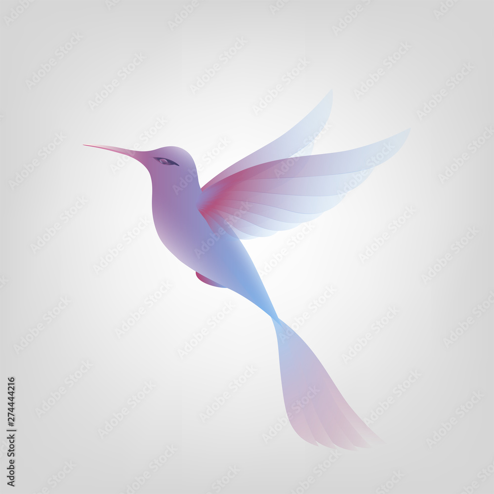 Fototapeta premium Beautiful Amazing exotic bird in flight. Isolated object on white background for logo. Vector illustration.