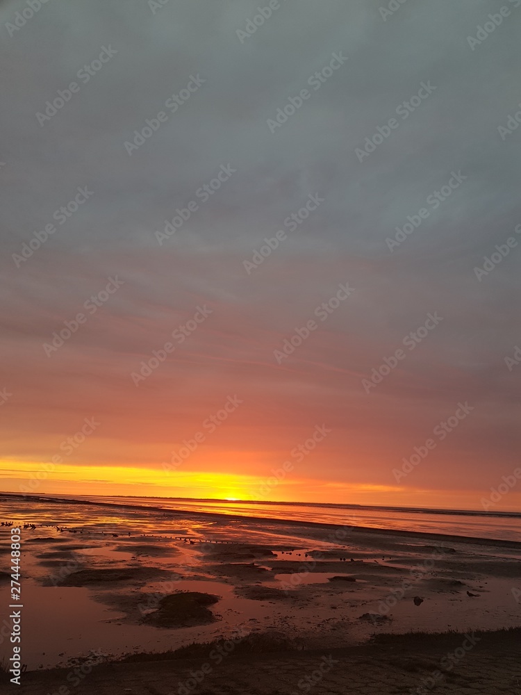 Fototapeta premium sunset over the sea