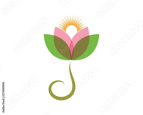 Beauty Vector Lotus flowers design logo Template