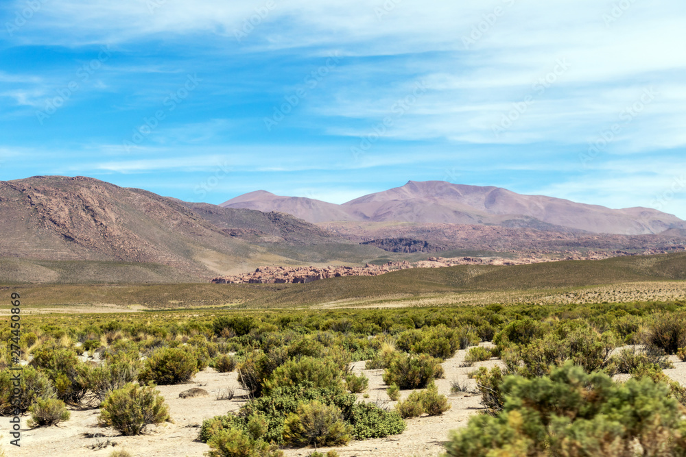 Desert landscapes with mountains in Bolivia at the dry season, dry vegetation is a natural background Desert landscapes with mountains in Bolivia at the dry season, dry vegetation is a natural background