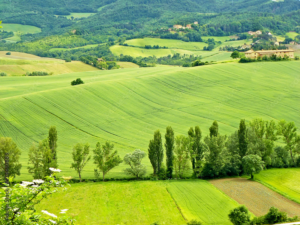 Background of beautiful landscape in green fields and blue sky at Umbria, Italy or little Toscane or Toscana. 