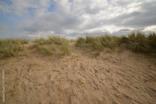 Photos Long windblown grass on sand dunes on English beach in summer