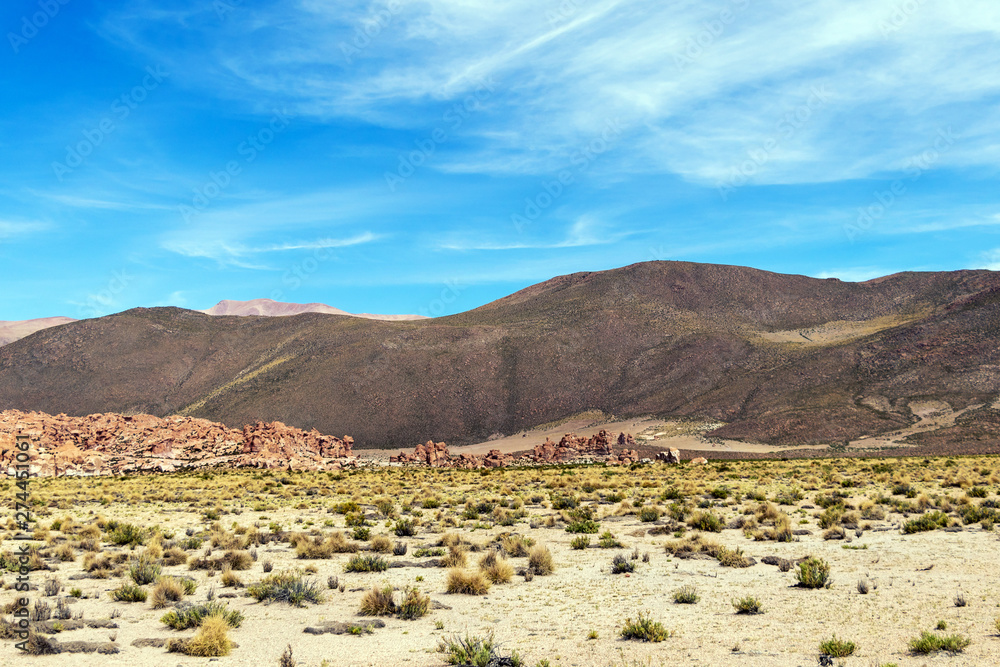 Desert landscapes with mountains in Bolivia at the dry season, dry vegetation is a natural background