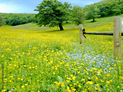 Background of beautiful landscape in green fields and blue sky at Umbria, Italy or little Toscane or Toscana in summer season and beautiful clouds. 