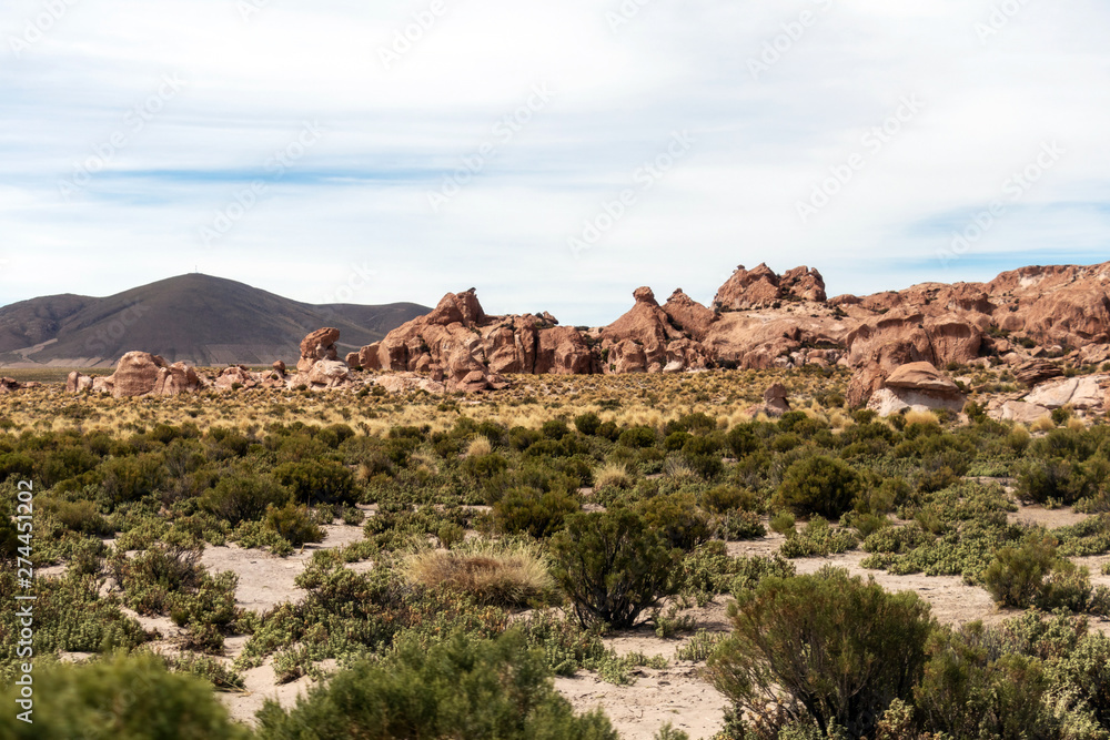 Desert landscapes with mountains in Bolivia at the dry season, dry vegetation is a natural background Desert landscapes with mountains in Bolivia at the dry season, dry vegetation is a natural background