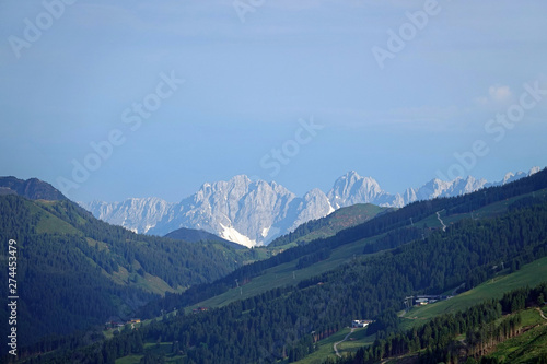 beautiful view to the wilde kaiser in tirol on a sunny day with green fields and forest in the foreground © Chamois huntress