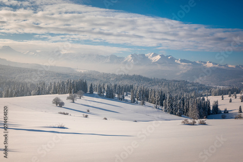 Tatra Mountain in winter, landscape wiht wiev of Tatra Poland Pieniny zakopane