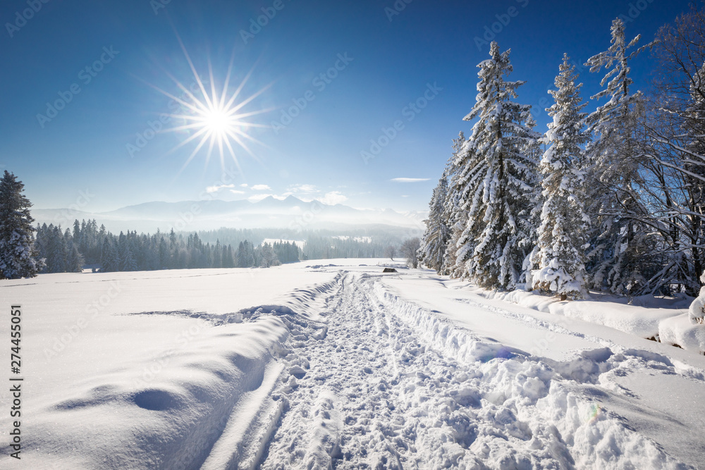Fototapeta premium Tatra Mountain in winter, landscape wiht wiev of Tatra Poland Pieniny zakopane