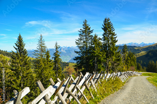 Hiking at mount Rigi
