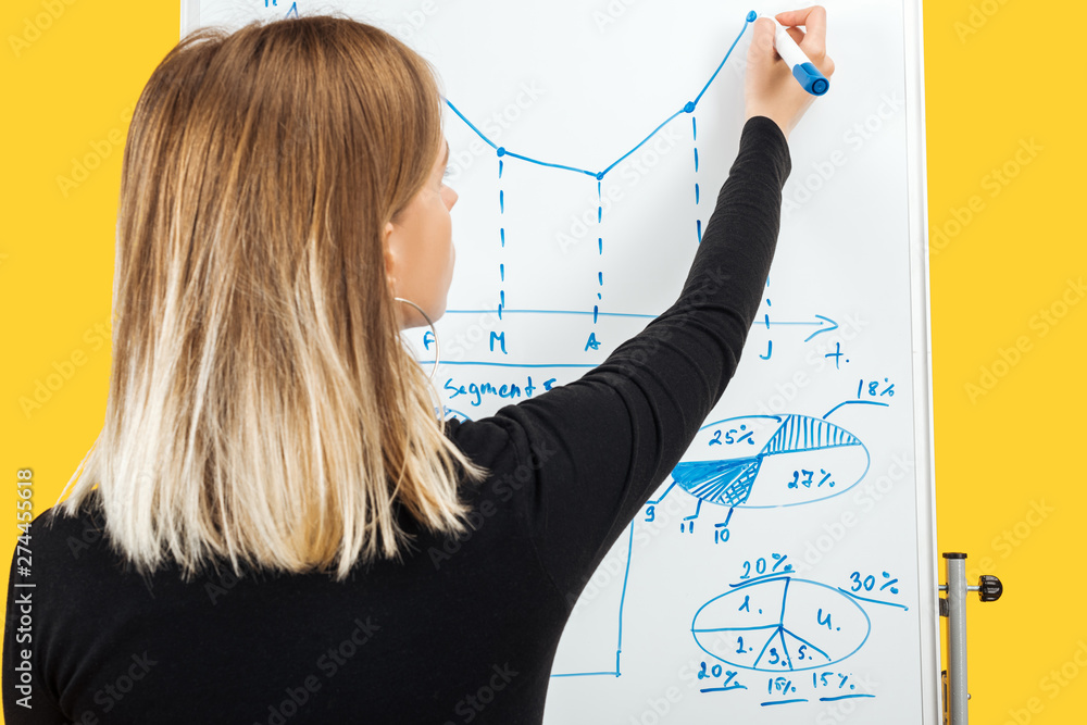 back view of businesswoman drawing graphics and diagrams on white office board