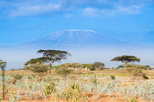 Cette photo a   t   prise lors de mon voyage de noce au Kenya et repr  sent le kilimandjaro en arri  re plan avec la savane africaine en premier plan.