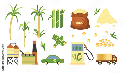 Sugarcane plant and produce set, alternative fuel and cubed and granulated powder of sugar cane photo