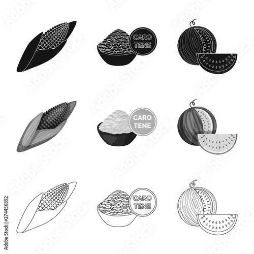 Vector illustration of test and synthetic symbol. Collection of test and laboratory stock symbol for web.