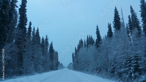 winter landscape with road and trees