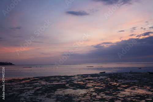 Purple Sea in Bali © 36Grad Design