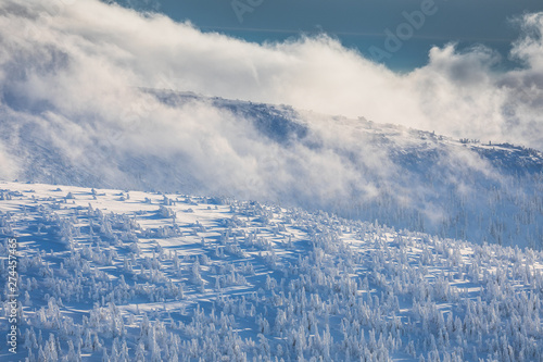 Winter in Jeseniky Mountains in czech repbulic 2018 photo