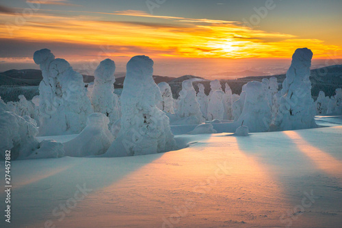 Winter in Jeseniky Mountains in czech repbulic 2018 photo