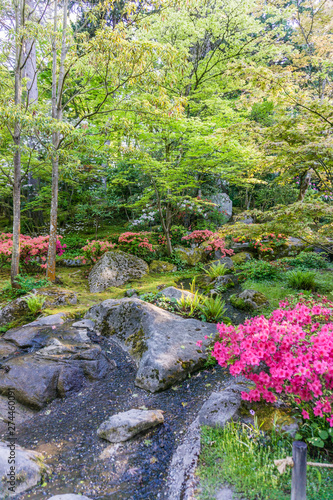 Lush Colorful Flower Garden 3