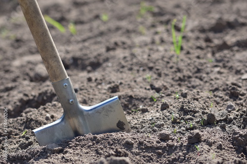 Garden titanium shovel with wooden handle in fertile garden soil close-up