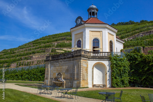 Belevdere Wackerbarth Castle' overlooking the vineyards and the park