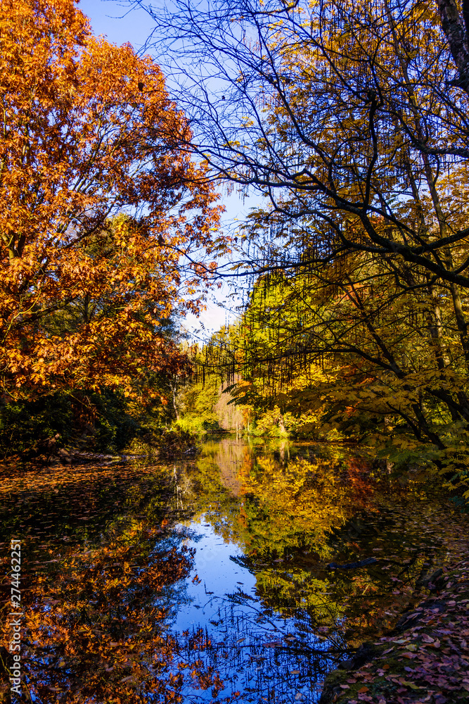 Wonderful Landscape. Colorful Autumn scene