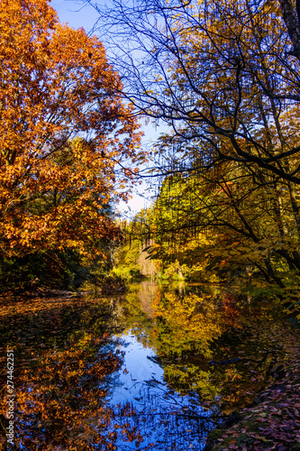 Wonderful Landscape. Colorful Autumn scene © EwaStudio