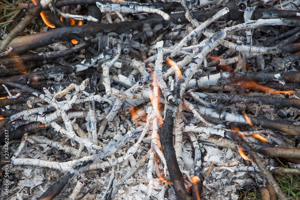 The twigs that have been completely burned leave a carbon ash The twigs that have been completely burned leave a carbon ash