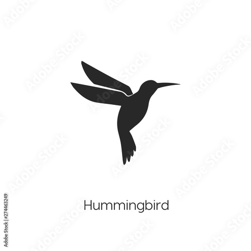 hummingbird icon vector symbol sign