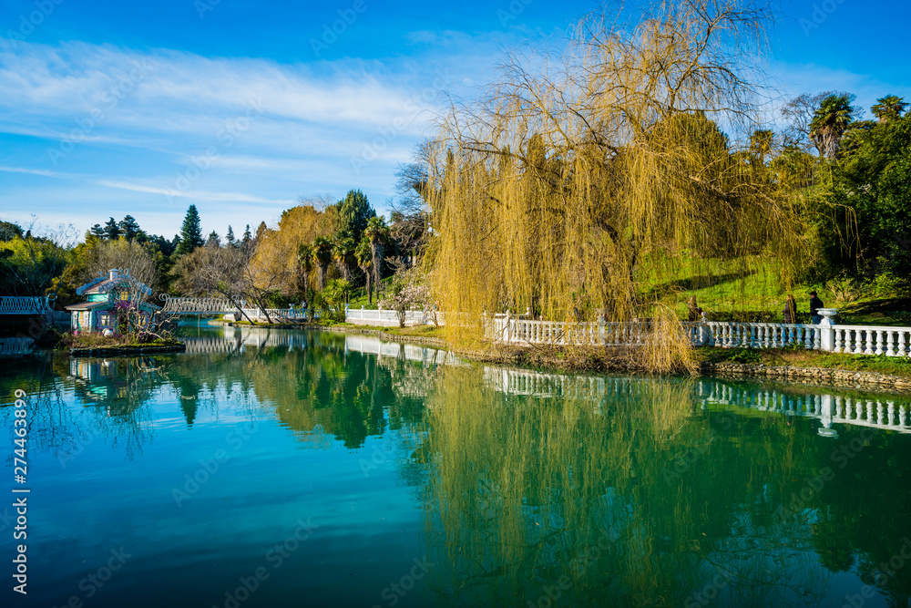 beautiful pond with birds in Sochi. Russia beautiful pond with birds in Sochi. Russia