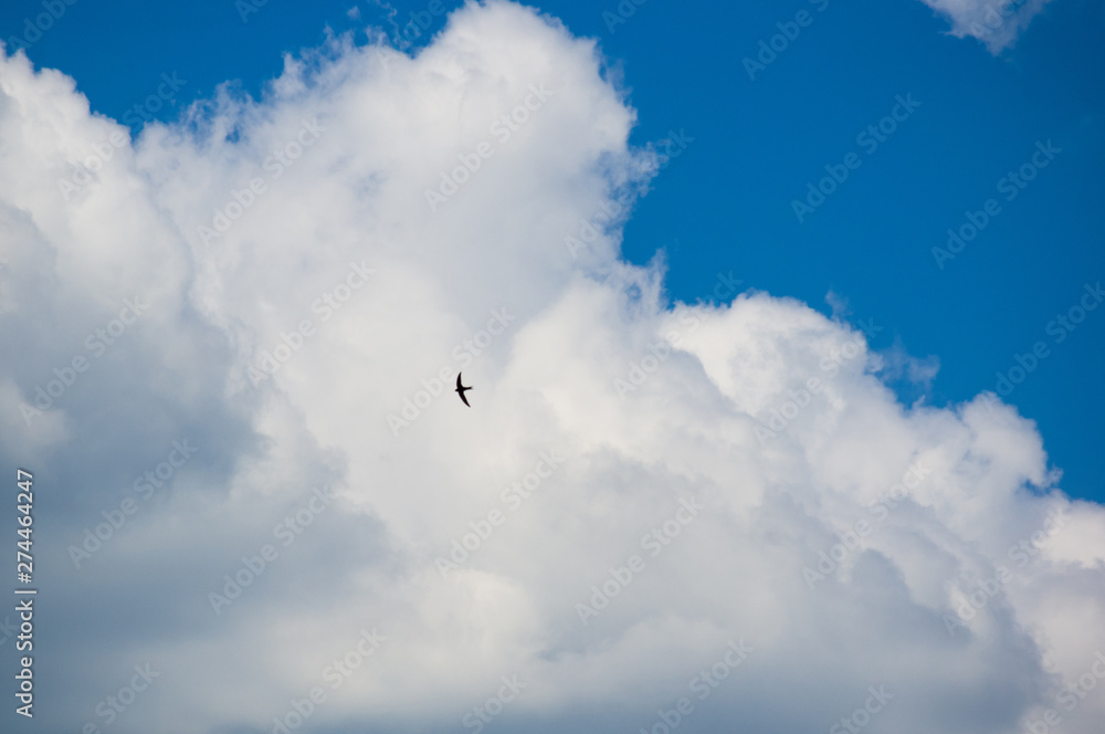 beautiful background bright blue sky with white clouds