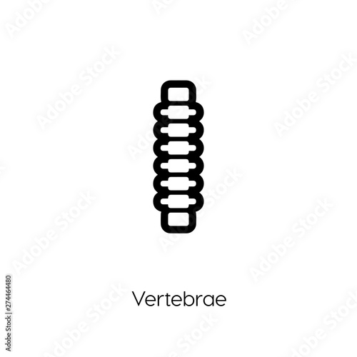 vertebrae icon. vertebrae icon vector. Linear style sign for mobile concept and web design. vertebrae symbol illustration. vector graphics - Vector	
