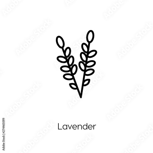 lavender icon vector symbol sign