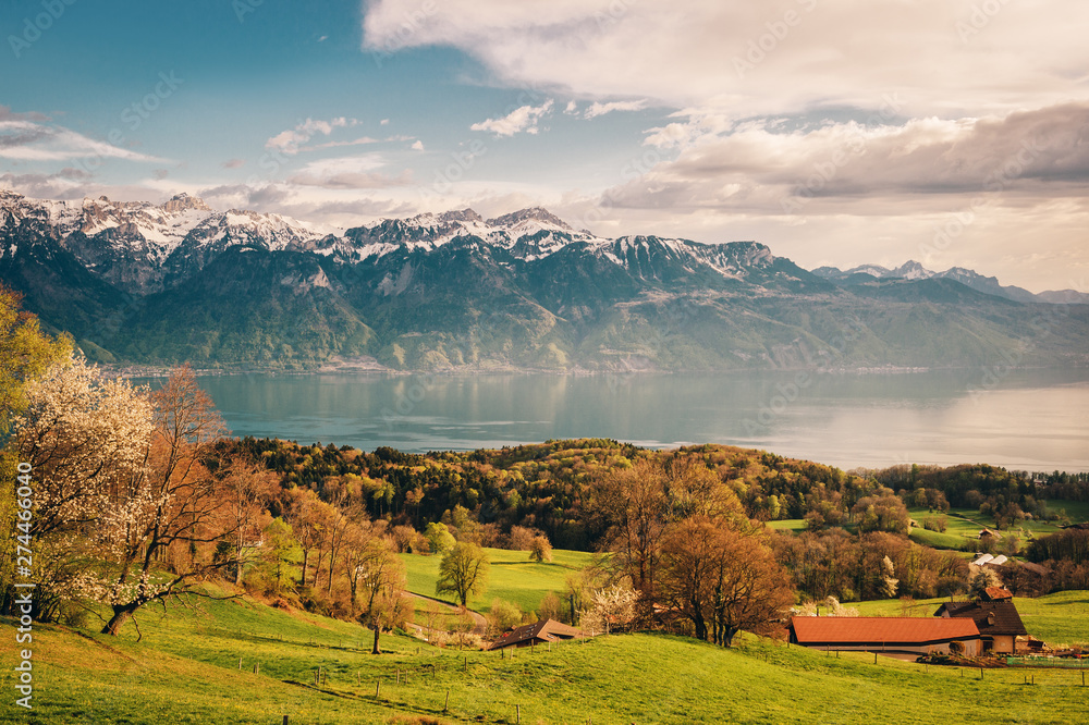 Fototapeta premium Top view on lake Geneva, Switzerland on a nice sunny day