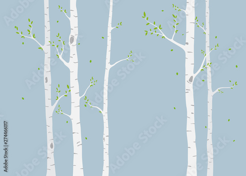 Fototapeta Beautiful tree branch with birds silhouette background for wallpaper sticker