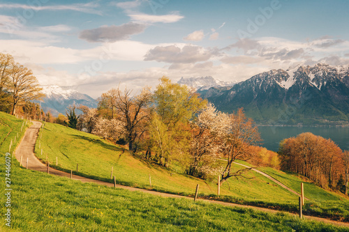Fototapeta Naklejka Na Ścianę i Meble -  Top view on lake Geneva, Switzerland on a nice sunny day