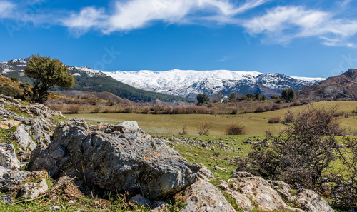 Sierra Nevada national park landscape