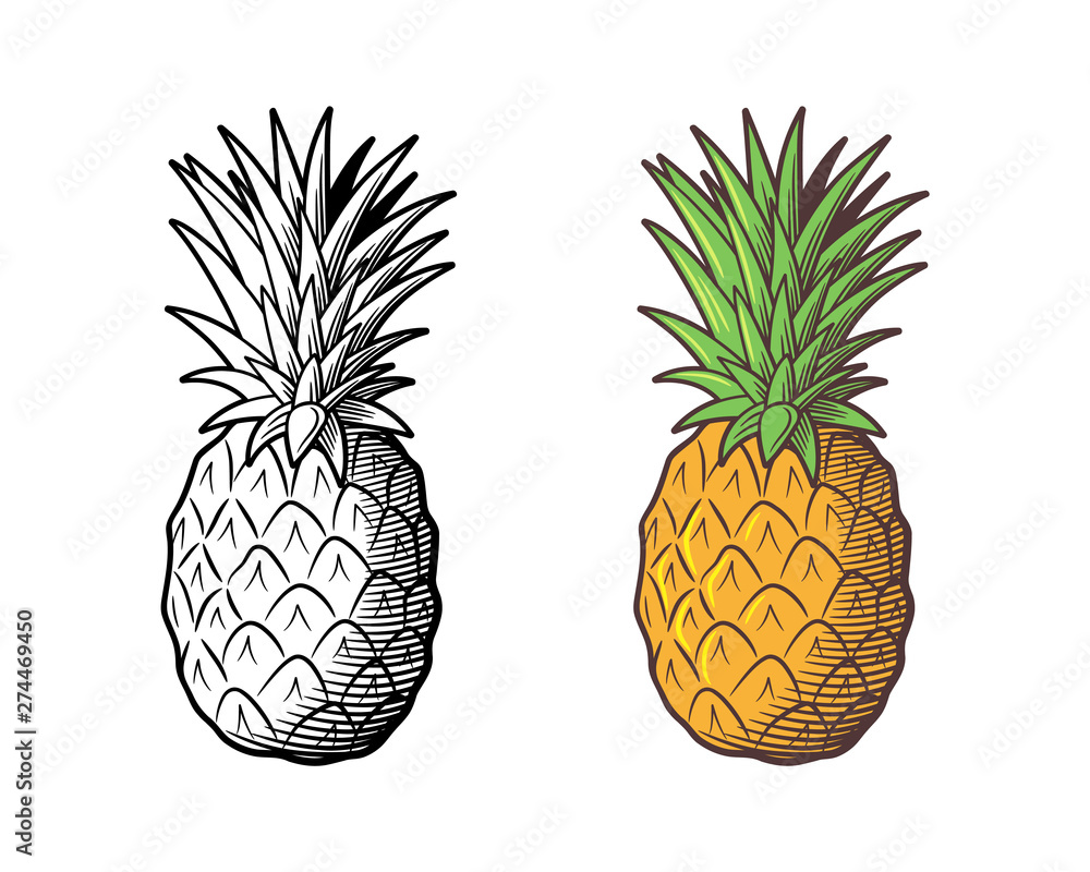 Update more than 140 pineapple drawing images best
