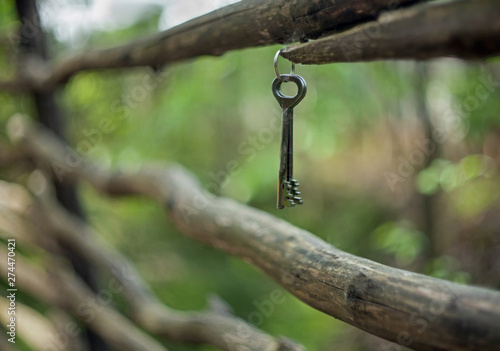 A bunch of old vintage iron door keys hanging on an old rustic fence of crooked poles with a blurred background.