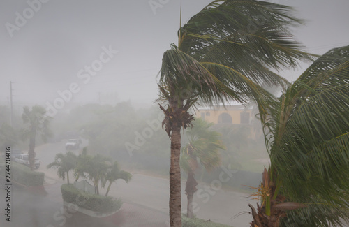Fotografia, Obraz Hurricane warning