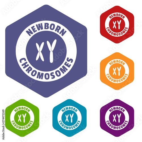 Newborn chromosomes icons vector colorful hexahedron set collection isolated on white