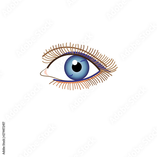 Illustration vector sign beautiful eye looking at you