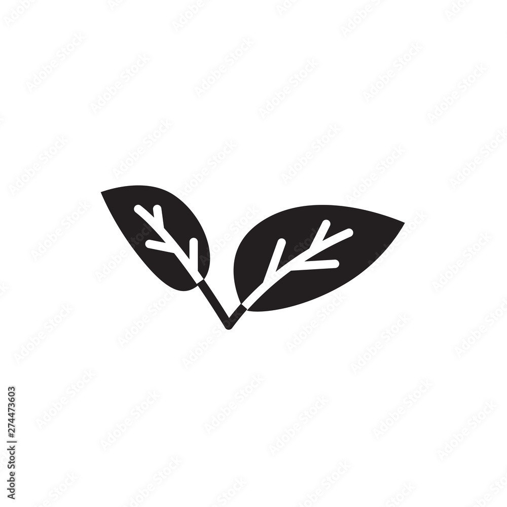 Fototapeta premium leaf vector icon