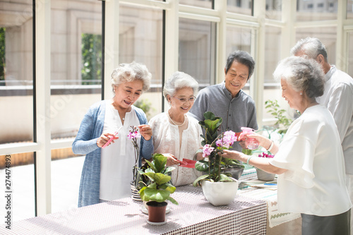 Senior friends planting flowers in nursing home photo