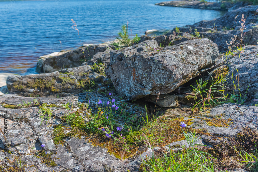Ladoga lake- visit the national Park Ladoga lake- visit the national Park