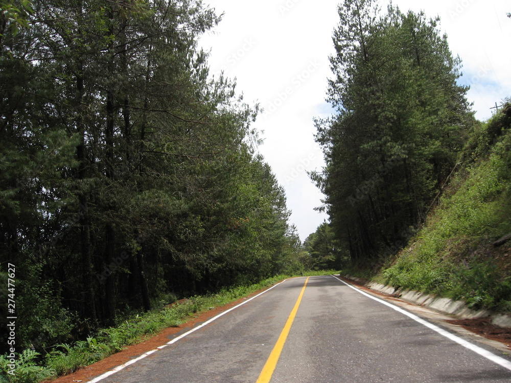 Carretera sierra de Oaxaca